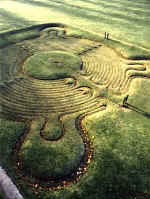 Saffron Walden's turf maze - just 4 miles from our caravan site